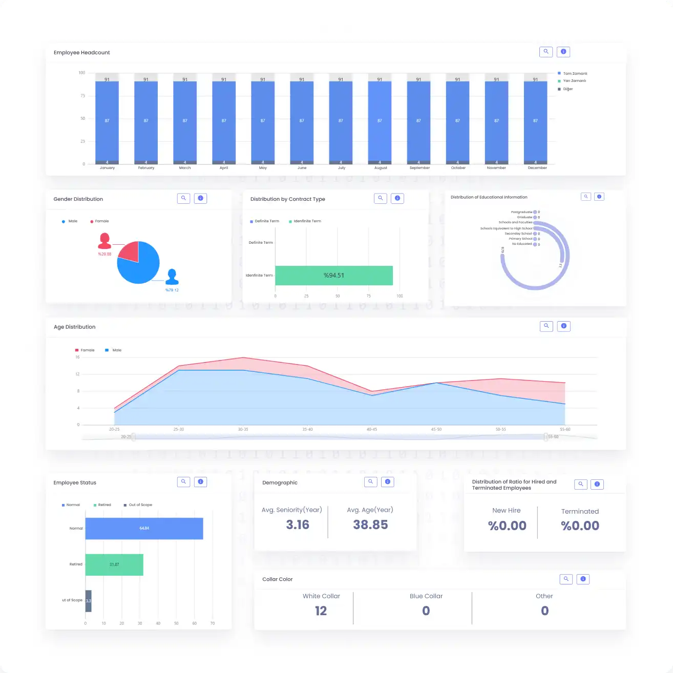 Interactive HR Metrics for Strategic Workforce Planning